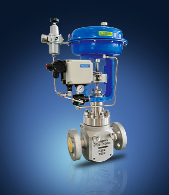 Straight stroke control valve